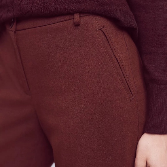 Anthropologie Cartonnier Monica Flannel Trousers Pants Rust Brown Orange 10 - Picture 3 of 9